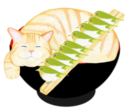 Brown tabby & White-eye sticker #3583364