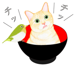 Brown tabby & White-eye sticker #3583365