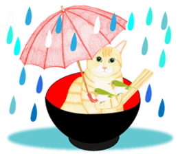 Brown tabby & White-eye sticker #3583366