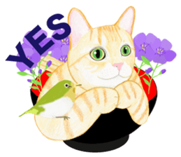 Brown tabby & White-eye sticker #3583368