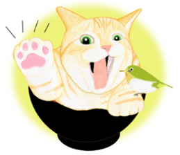 Brown tabby & White-eye sticker #3583370