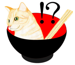 Brown tabby & White-eye sticker #3583371