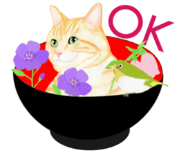 Brown tabby & White-eye sticker #3583374