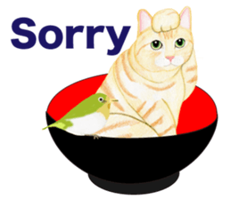 Brown tabby & White-eye sticker #3583375