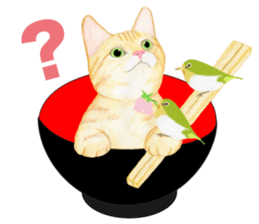 Brown tabby & White-eye sticker #3583376