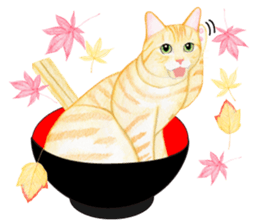 Brown tabby & White-eye sticker #3583378