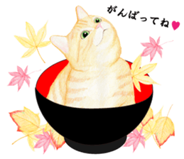 Brown tabby & White-eye sticker #3583380