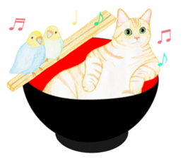 Brown tabby & White-eye sticker #3583383