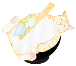 Brown tabby & White-eye sticker #3583384