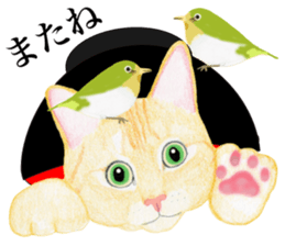 Brown tabby & White-eye sticker #3583385