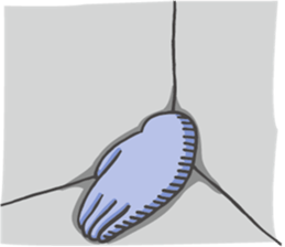 TEZARASHI and ASHIKA sticker #3583704