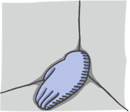 TEZARASHI and ASHIKA sticker #3583704