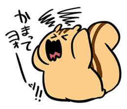 YUTO Squirrel -Because he is YUTORI- sticker #3584216