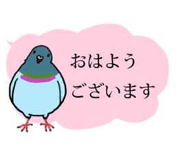 Pigeon  Part 2 sticker #3584346