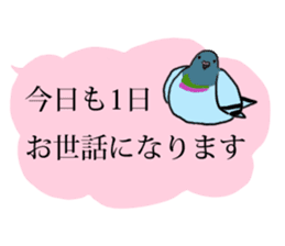 Pigeon  Part 2 sticker #3584354