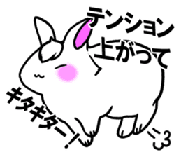 Bangs rabbit6 Friend sticker #3585634