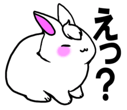 Bangs rabbit6 Friend sticker #3585638