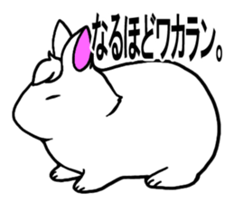 Bangs rabbit6 Friend sticker #3585660