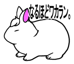 Bangs rabbit6 Friend sticker #3585660