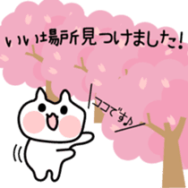 Hanami cat sticker #3586351