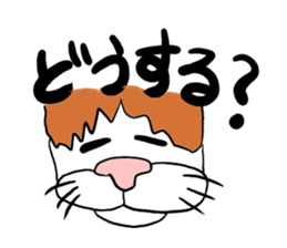 Jim Cat sticker #3587374