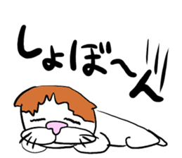 Jim Cat sticker #3587380