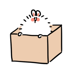 Posa, a fat Angolan rabbit