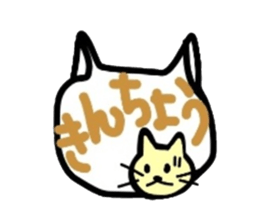 The real intention of a pretty cat sticker #3590896