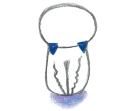 Clione(Sea Angel) Wonderland Part1 sticker #3594031