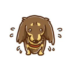 miniature dachshund Tan ver. sticker #3598122