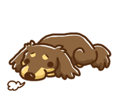 miniature dachshund Tan ver. sticker #3598126