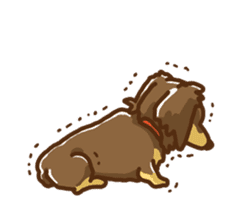 miniature dachshund Tan ver. sticker #3598128
