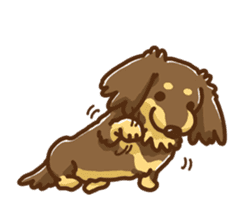 miniature dachshund Tan ver. sticker #3598130