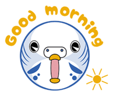 colorful budgie (English version) sticker #3598588