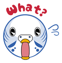 colorful budgie (English version) sticker #3598590