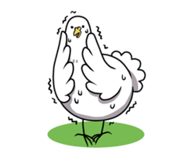 Too free pigeons sticker #3598883