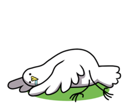 Too free pigeons sticker #3598886