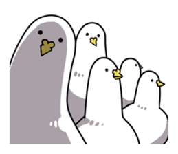 Too free pigeons sticker #3598904
