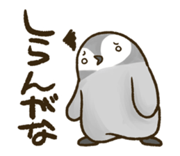 Daily penguins 2 sticker #3601482