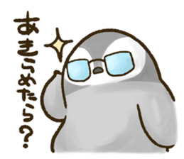 Daily penguins 2 sticker #3601489