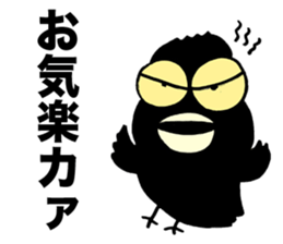 Talkative crow reappearance sticker #3605608