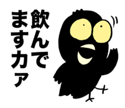 Talkative crow reappearance sticker #3605615