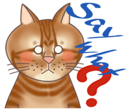 This Meow-Meow Life  (English ver.) sticker #3609478