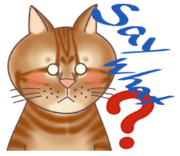 This Meow-Meow Life (English ver.) sticker #3609478