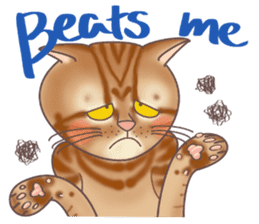 This Meow-Meow Life (English ver.) sticker #3609479