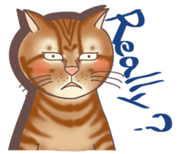 This Meow-Meow Life (English ver.) sticker #3609480