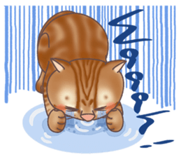 This Meow-Meow Life  (English ver.) sticker #3609493