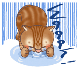 This Meow-Meow Life (English ver.) sticker #3609493