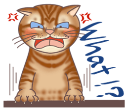 This Meow-Meow Life  (English ver.) sticker #3609495