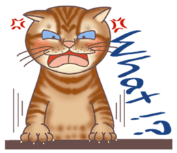 This Meow-Meow Life (English ver.) sticker #3609495